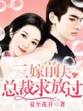 二嫁前夫:总裁求放过