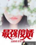 最强傻婿