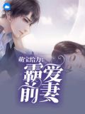 萌宝给力:霸爱前妻